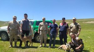 Iğdır'da yaralı yaban keçileri koruma altına alındı