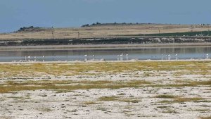 Kuş cenneti Arin Gölü'nde kuraklık tehlikesi