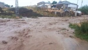 Ağrı'da sel tarım arazileri ve yollara zarar verdi