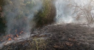Elazığ'da mera ve bahçelik alanda etkili olan yangın söndürüldü