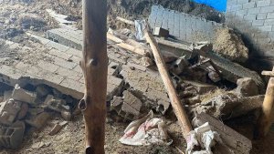 Tunceli'de dolu ve sağanak ekili alanlara zarar verdi