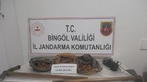 Bingöl'de salep soğanı toplayanlar yakalandı, 1 milyon 161 bin lira ceza kesildi
