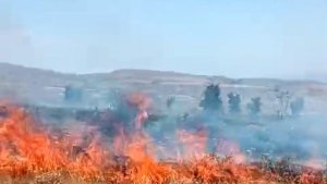 Tunceli'deki arazi yangını söndürüldü