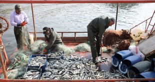 Balıkçılar 'vira bismillah' diyerek Van Gölü'ne ağlarını bıraktı