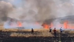 Van'da tarım arazisinde yangın