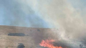 Malatya'da bir hektarlık alanda anız yangını