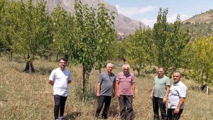 74 yaşındaki Kemaliyeli öğretmen 19 bin ağacı toprakla buluşturdu