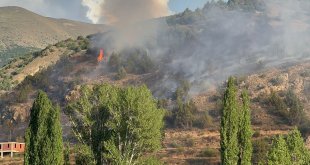 Erzurum'da ormanlık alanda çıkan yangın kontrol altına alındı