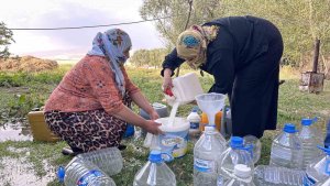 Yüksekova'da kışlık süt mesaisi