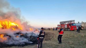 Van'da 9 bin bağ ot yandı