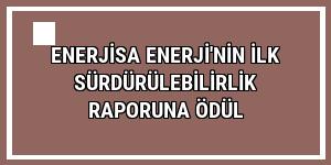 Enerjisa Enerji'nin ilk sürdürülebilirlik raporuna ödül