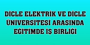 Dicle Elektrik ve Dicle Üniversitesi arasında eğitimde iş birliği