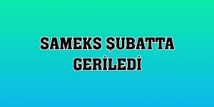 SAMEKS şubatta geriledi