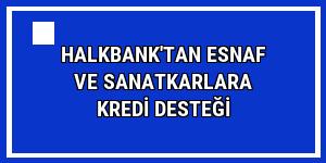 Halkbank'tan esnaf ve sanatkarlara kredi desteği