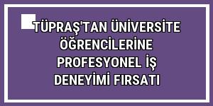 Tüpraş'tan üniversite öğrencilerine profesyonel iş deneyimi fırsatı