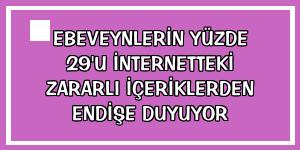 Ebeveynlerin yüzde 29'u internetteki zararlı içeriklerden endişe duyuyor