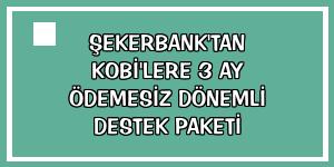 Şekerbank'tan KOBİ'lere 3 ay ödemesiz dönemli destek paketi