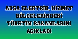 Aksa Elektrik, hizmet bölgelerindeki tüketim rakamlarını açıkladı