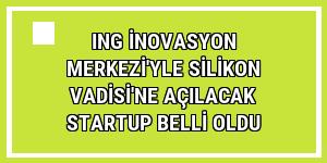 ING İnovasyon Merkezi'yle Silikon Vadisi'ne açılacak startup belli oldu