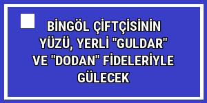 Bingöl çiftçisinin yüzü, yerli 'Guldar' ve 'Dodan' fideleriyle gülecek