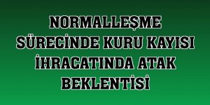 Normalleşme sürecinde kuru kayısı ihracatında atak beklentisi