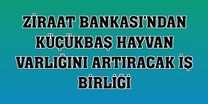 Ziraat Bankası'ndan küçükbaş hayvan varlığını artıracak iş birliği