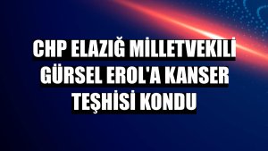 CHP Elazığ milletvekili Gürsel Erol'a kanser teşhisi kondu