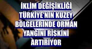 İklim değişikliği Türkiye'nin kuzey bölgelerinde orman yangını riskini artırıyor