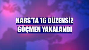 Kars'ta 16 düzensiz göçmen yakalandı