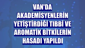 Van'da akademisyenlerin yetiştirdiği tıbbi ve aromatik bitkilerin hasadı yapıldı