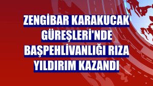 Zengibar Karakucak Güreşleri'nde başpehlivanlığı Rıza Yıldırım kazandı