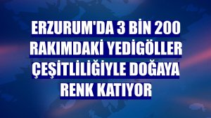 Erzurum'da 3 bin 200 rakımdaki Yedigöller çeşitliliğiyle doğaya renk katıyor