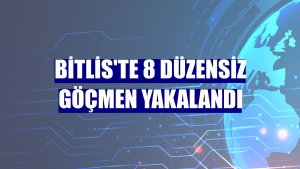 Bitlis'te 8 düzensiz göçmen yakalandı