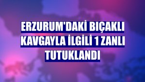 Erzurum'daki bıçaklı kavgayla ilgili 1 zanlı tutuklandı