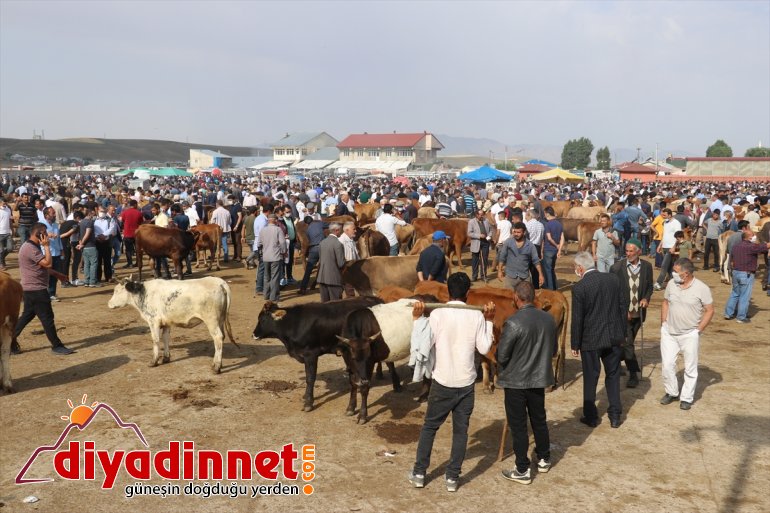 Ağrı'da vatandaşlarla besiciler arasında sıkı "kurbanlık pazarlığı" yaşanıyor