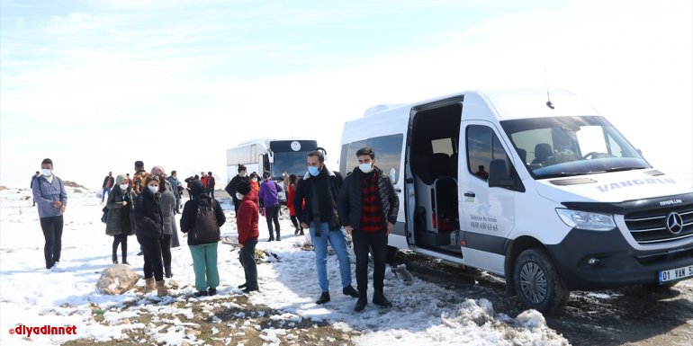 Van'da gönüllüler, jandarmanın desteğiyle sokak hayvanları için 20 kulübe yaptı