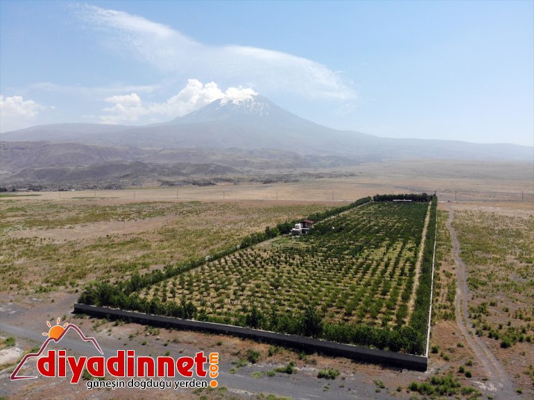 tatile manzaralı götürmediği etti Bahçe Ağrı AĞRI için işlerinden bulup Dağı - inşa çocukları fırsat havuz 8