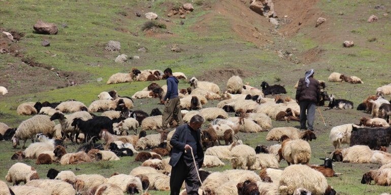 Hakkari'de kar nedeniyle mahsur kalan göçerler kurtarıldı