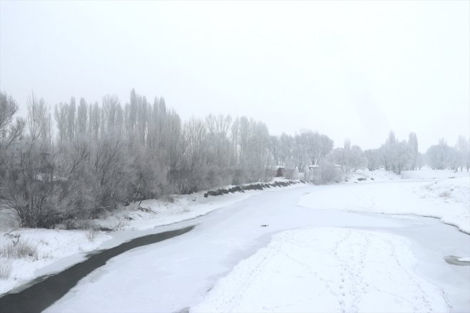 dondurucu Doğu etkili Anadolu