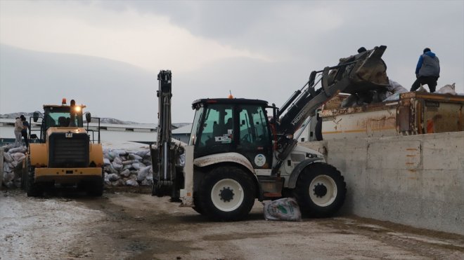 silajı Ağrılı deprem mısır bölgesindeki için besicilerden yardımı hayvanlar 2