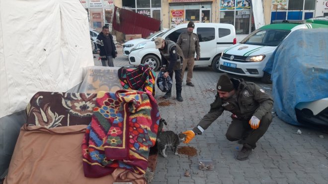 Elazığ'dan giden polislerden Kahramanmaraş'ta depremden etkilenen sahipsiz hayvanlara destek