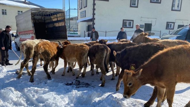 Erzurum'da vatandaşlar, hayvanlarını satıp gelirini depremzedelere bağışladı