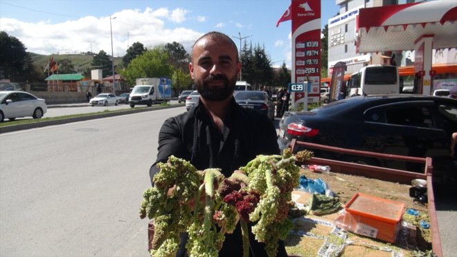 Tatvan'da dağlardan toplanan uçkun tezgahlarda yerini aldı