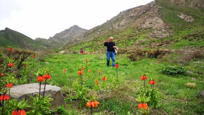 Hakkari'ye gelen doğaseverler, eşsiz doğal güzellikleri keşif gezilerine katıldı