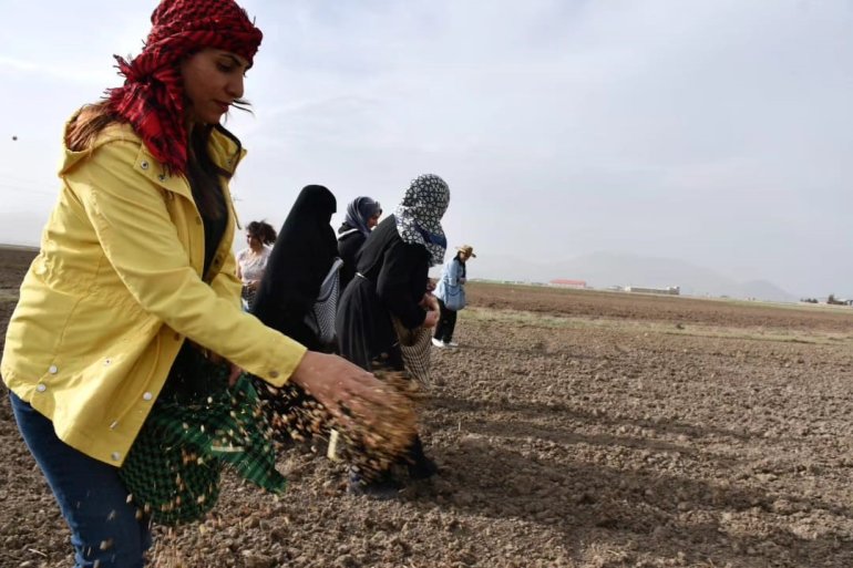 Doğubayazıtlı kadınlar toprağa hayat verdi1