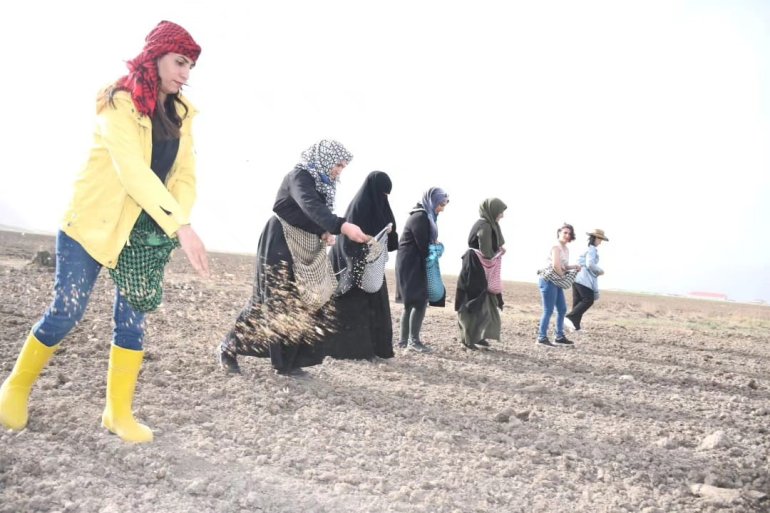 Doğubayazıtlı kadınlar toprağa hayat verdi4