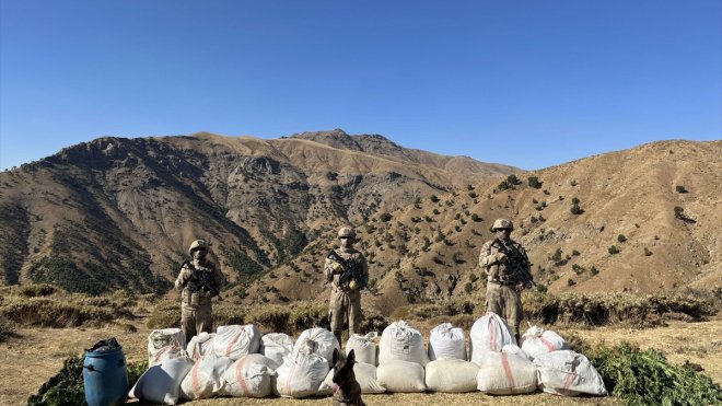 Bingöl'de 529 kilo 600 gram esrar ve 3 milyon 158 bin kök kenevir ele geçirildi