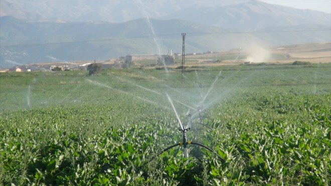 Bitlis'te çiftçiler su ve enerjiden tasarruf etmek için yeni sulama yöntemlerini kullanıyor