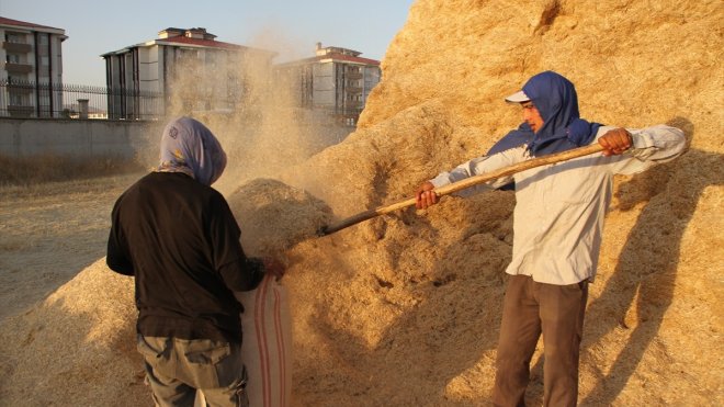 Malazgirt'te hasadın tamamlanmasıyla saman satışları başladı