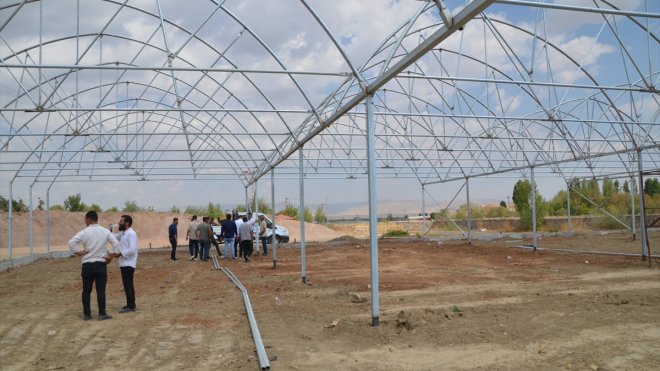 Muş Belediyesi çiçek ve süs bitkileri yetiştirmek için sera kurdu